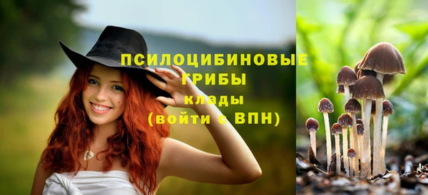 прущий лед Нягань