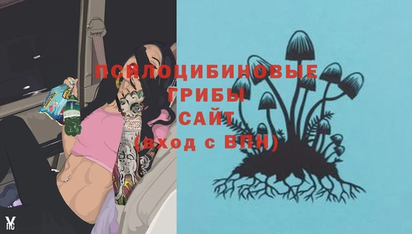 прущий лед Нягань
